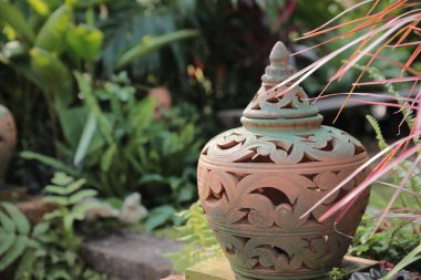 Doğa konsepti, bahçedeki çiçek.