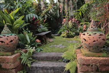 Doğa konsepti, bahçedeki çiçek.