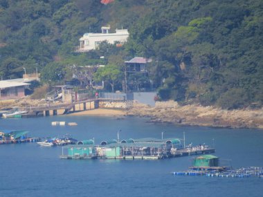 the fish farm at Ma Nam Wat, sai kung, 10 March 2013