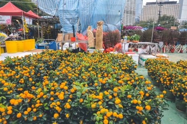 Traditional chinese lunar new year fair in Hong Kong 21 Jan 2023