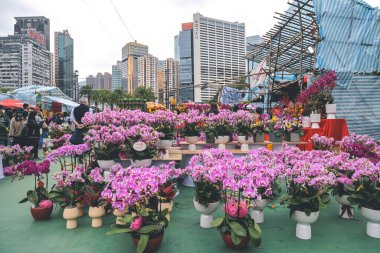 Traditional chinese lunar new year fair in Hong Kong 21 Jan 2023