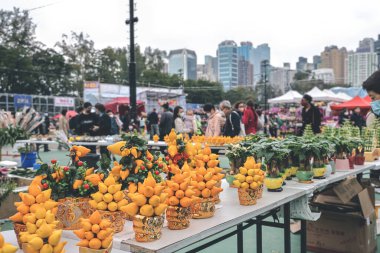 Traditional chinese lunar new year fair in Hong Kong 21 Jan 2023