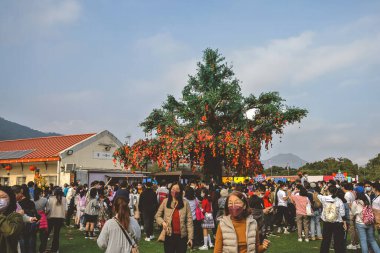 the Lam Tsuen wishing trees, Tai Po, HK 23 Jan 2023