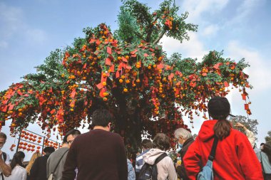 the Lam Tsuen wishing trees, Tai Po, HK 23 Jan 2023