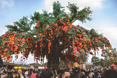 the Lam Tsuen wishing trees, Tai Po, HK 23 Jan 2023