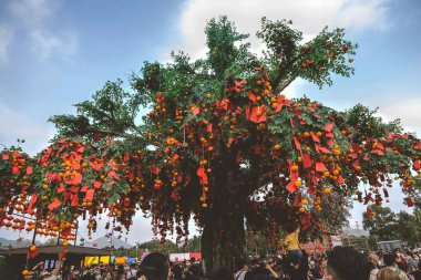 the Lam Tsuen wishing trees, Tai Po, HK 23 Jan 2023