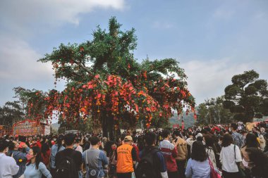 the Lam Tsuen wishing trees, Tai Po, HK 23 Jan 2023