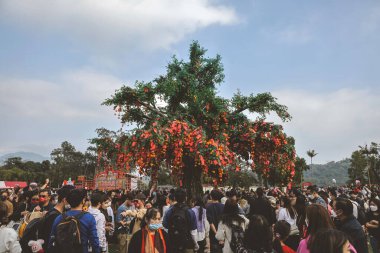 the Lam Tsuen wishing trees, Tai Po, HK 23 Jan 2023