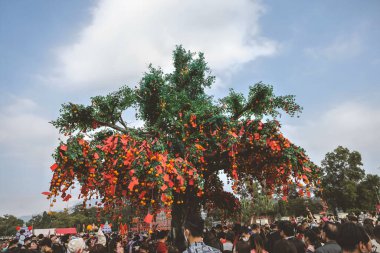 the Lam Tsuen wishing trees, Tai Po, HK 23 Jan 2023
