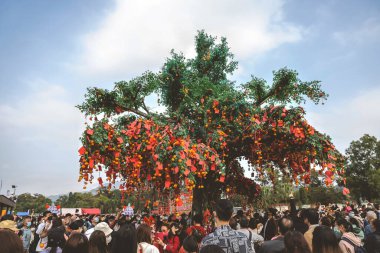 the Lam Tsuen wishing trees, Tai Po, HK 23 Jan 2023