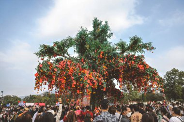 the Lam Tsuen wishing trees, Tai Po, HK 23 Jan 2023