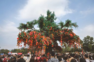 the Lam Tsuen wishing trees, Tai Po, HK 23 Jan 2023