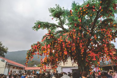 the Lam Tsuen wishing trees, Tai Po, HK 23 Jan 2023