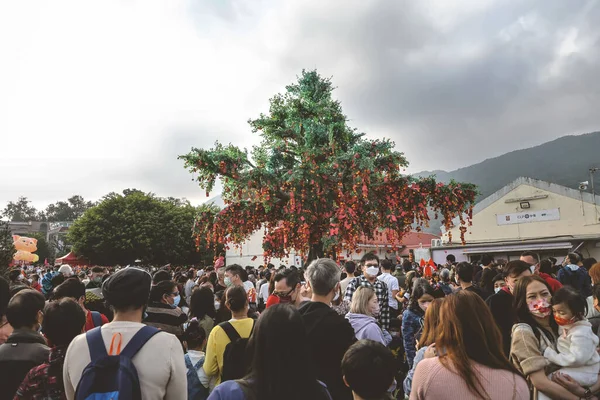 the Lam Tsuen wishing trees, Tai Po, HK 23 Jan 2023