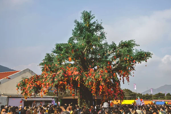 the Lam Tsuen wishing trees, Tai Po, HK 23 Jan 2023