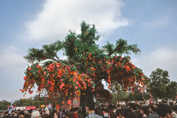 the Lam Tsuen wishing trees, Tai Po, HK 23 Jan 2023