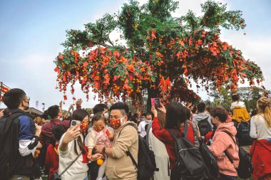 the Lam Tsuen wishing trees, Tai Po, HK 23 Jan 2023