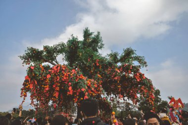 the Lam Tsuen wishing trees, Tai Po, HK 23 Jan 2023