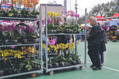 Traditional chinese lunar new year fair in Hong Kong 21 Jan 2023