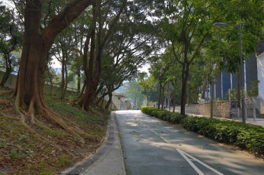 9 March 2013 park in city, Panorama of a beautiful city park