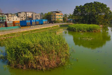 a pond at Sheung Cheung Wai, hk