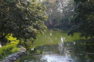 a pond at Sheung Cheung Wai, hk