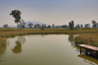 9 March 2013 Nam Sang Wai is a wetland area in San Tin,