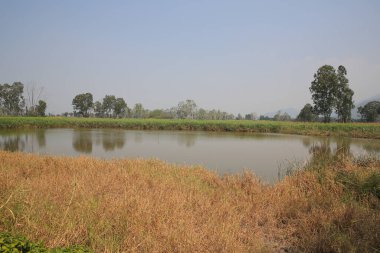 9 March 2013 Nam Sang Wai is a wetland area in San Tin,