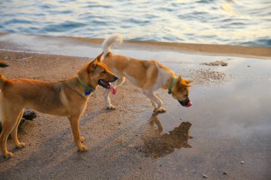 17 may 2013 the Western District Public Cargo Working Area