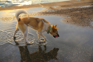 17 may 2013 the Western District Public Cargo Working Area