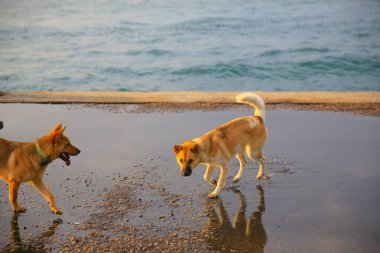 17 may 2013 the Western District Public Cargo Working Area