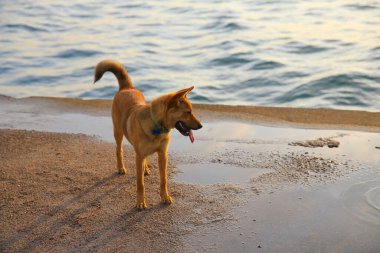 17 may 2013 the Western District Public Cargo Working Area
