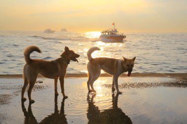 17 may 2013 the Western District Public Cargo Working Area