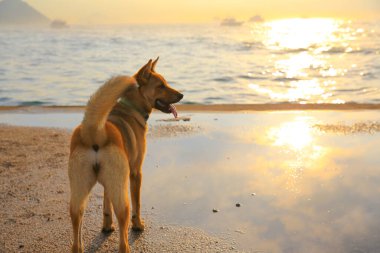17 may 2013 the Western District Public Cargo Working Area