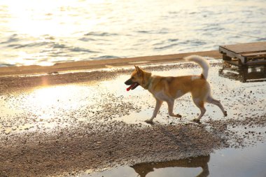 17 may 2013 the Western District Public Cargo Working Area