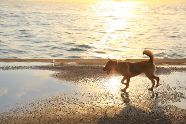 17 may 2013 the Western District Public Cargo Working Area