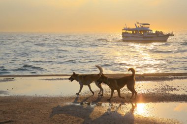 17 may 2013 the Western District Public Cargo Working Area
