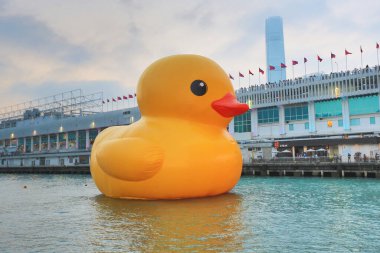 6 may 2013 Giant yellow rubber duck floating on Victoria Harbour