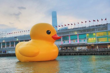 6 may 2013 Giant yellow rubber duck floating on Victoria Harbour