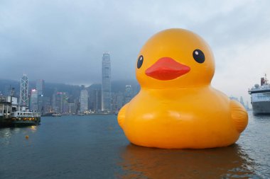 6 may 2013 Giant yellow rubber duck floating on Victoria Harbour