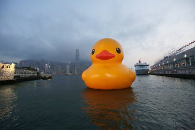 6 may 2013 Giant yellow rubber duck floating on Victoria Harbour