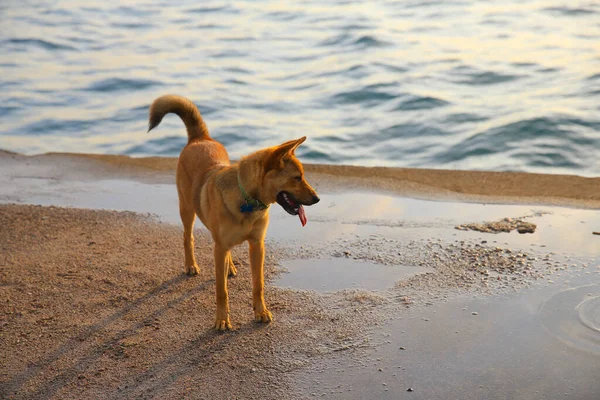 17 may 2013 the Western District Public Cargo Working Area
