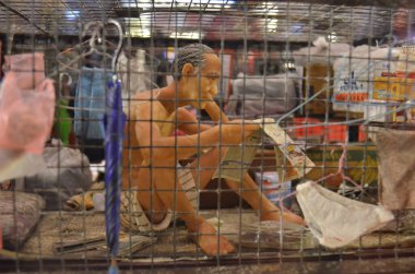 a scale model and figure , the city life