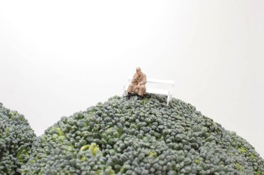 a mini Homeless figure on the Broccoli