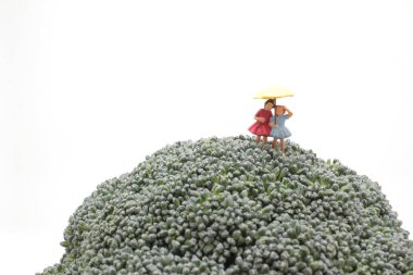 the mini figure holding umbrella on Broccoli