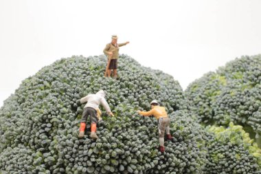 a figures climber on Whole Broccoli Vegetable