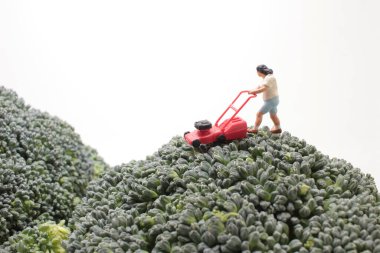 the Lawn mower cutting a green Broccoli