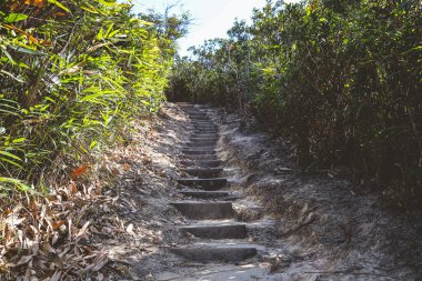 the landscape of violet hill trail, hk