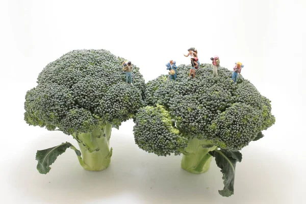 the mini figure travel at broccoli tree.