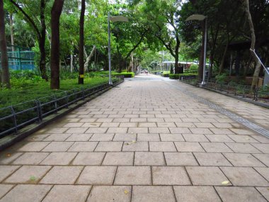 Patika ve güzel ağaçlar 20 Temmuz 2013 'te koşacak.